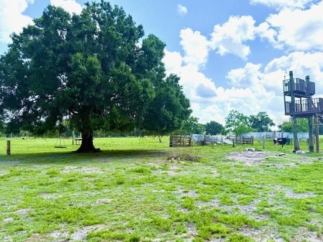 8206 Back Road, Plant City, FL 33565 Photo