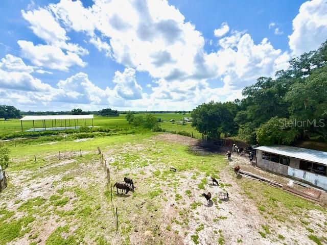 8206 Back Road, Plant City, FL 33565 Photo