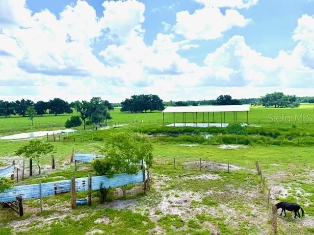 8206 Back Road, Plant City, FL 33565 Photo
