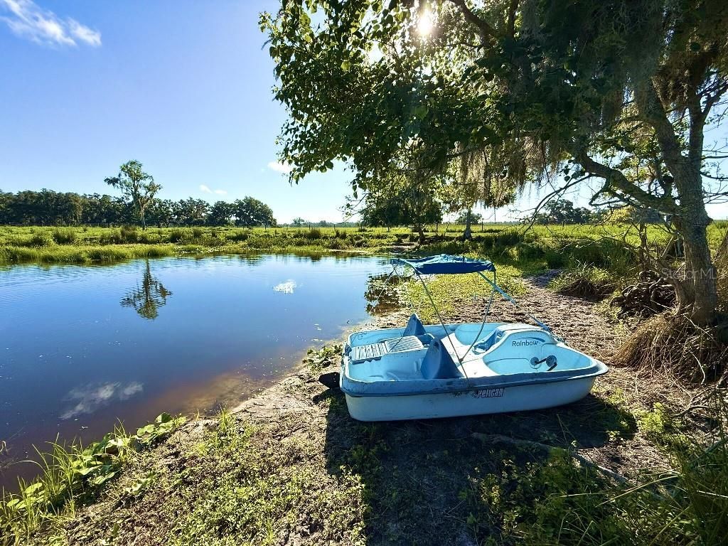 8206 Back Road, Plant City, FL 33565 Photo