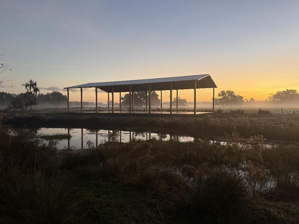 8206 Back Road, Plant City, FL 33565 Photo