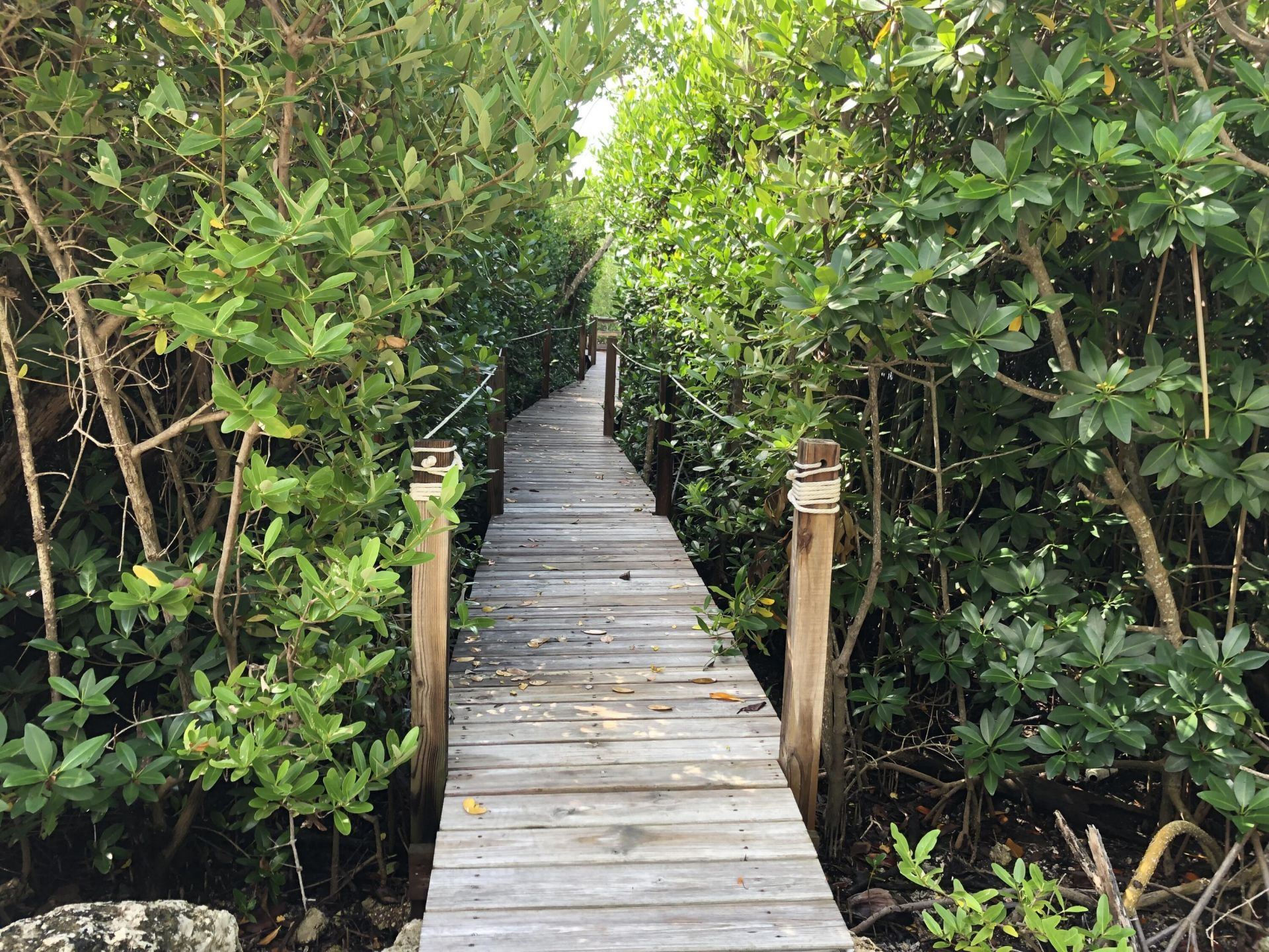 575 95th Street, Marathon, FL 33050 Photo
