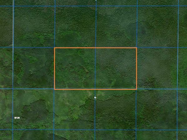 TBD County Road 8 , Littlefork, MN 56653
