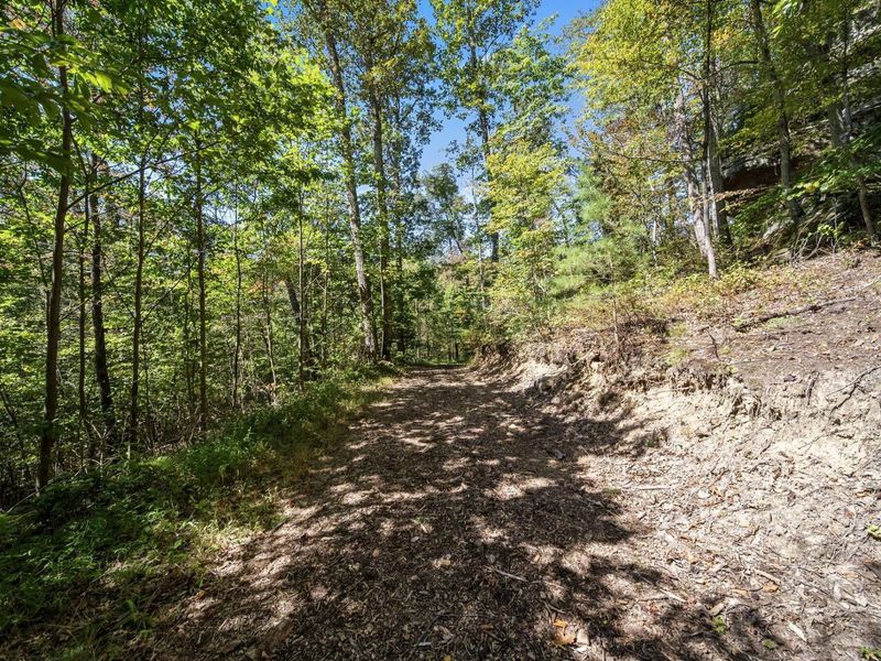 12089 Cantwell Cliffs Road, Rockbridge, OH 43149 Photo 163
