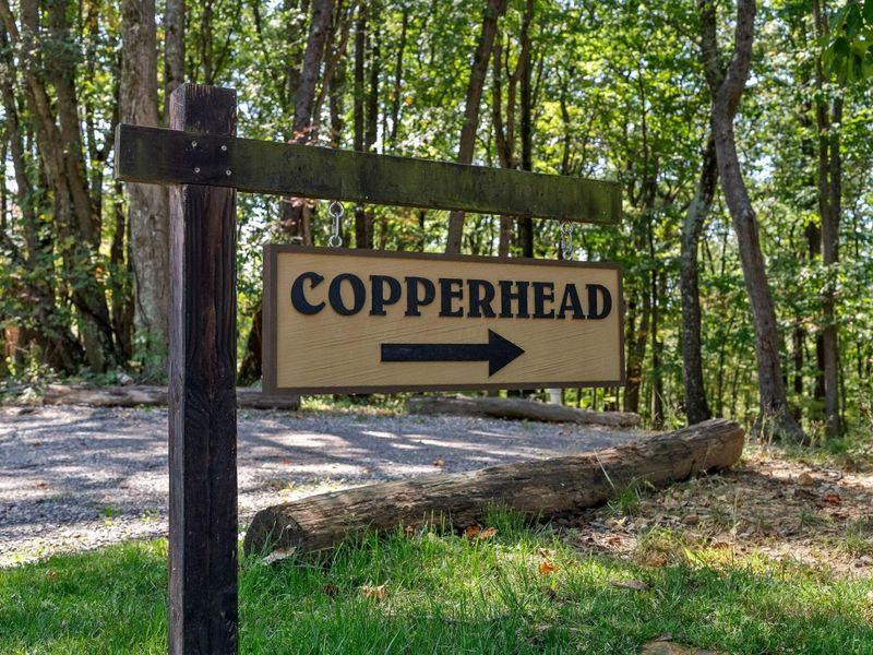 12089 Cantwell Cliffs Road, Rockbridge, OH 43149 Photo 60