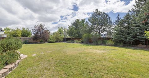 2972 Hot Springs Drive, Minden, NV 89423 Photo