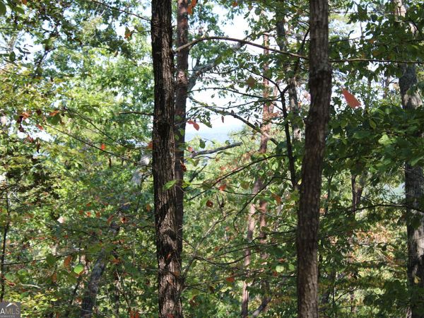 00 Conniston Road, Chatsworth, GA 30705