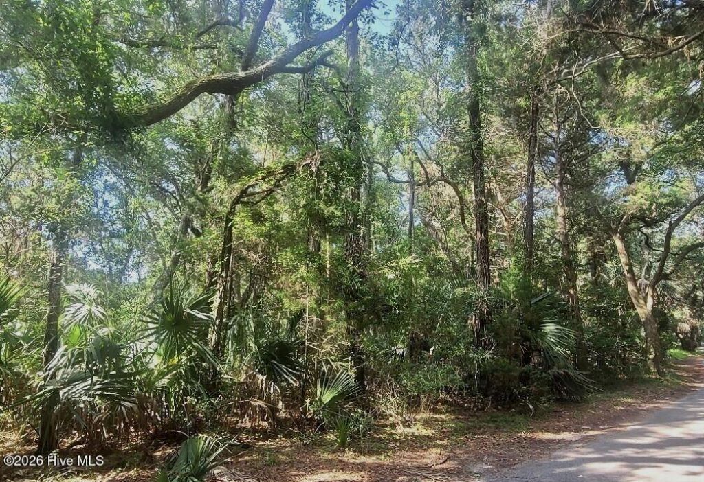 64 Dowitcher Trail , Bald Head Island, NC 28461 Main Photo