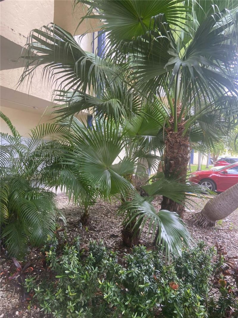 4550 NW 9th St , Unit 203E, Miami, FL 33126 Photo