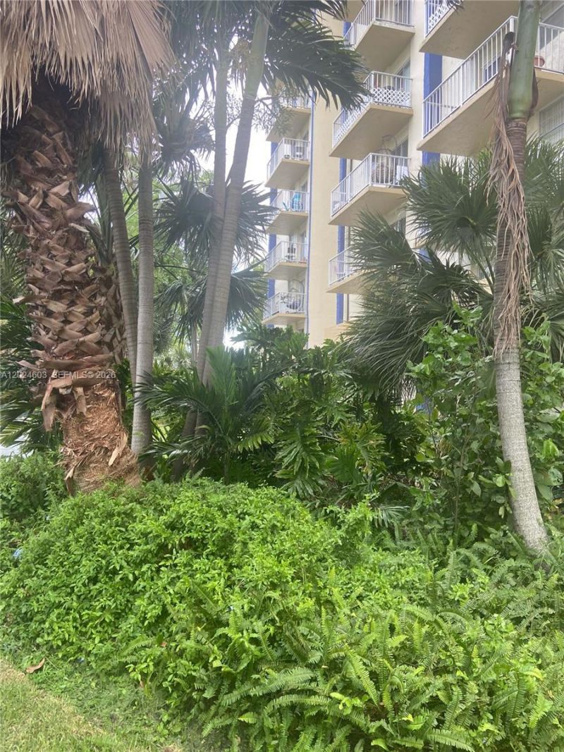 4550 NW 9th St , Unit 203E, Miami, FL 33126 Photo