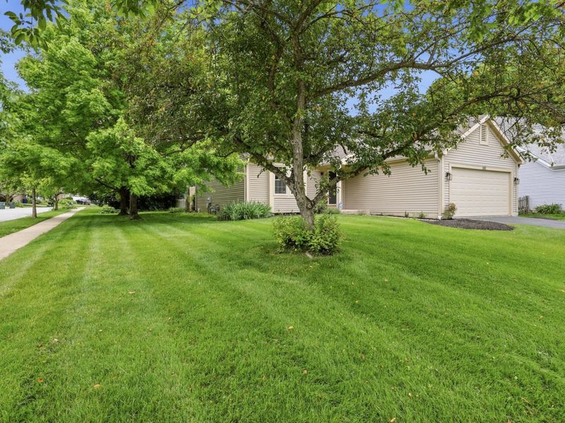 1681 Hale Court, Columbus, OH 43228 Photo 4