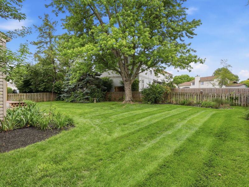 1681 Hale Court, Columbus, OH 43228 Photo 7