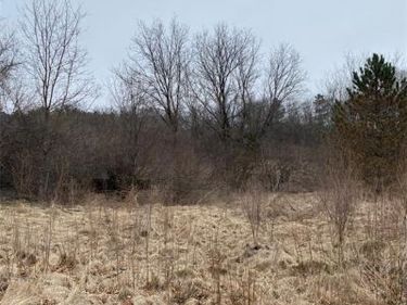 160 Great Pines Drive , Oxford Twp, MI 48371