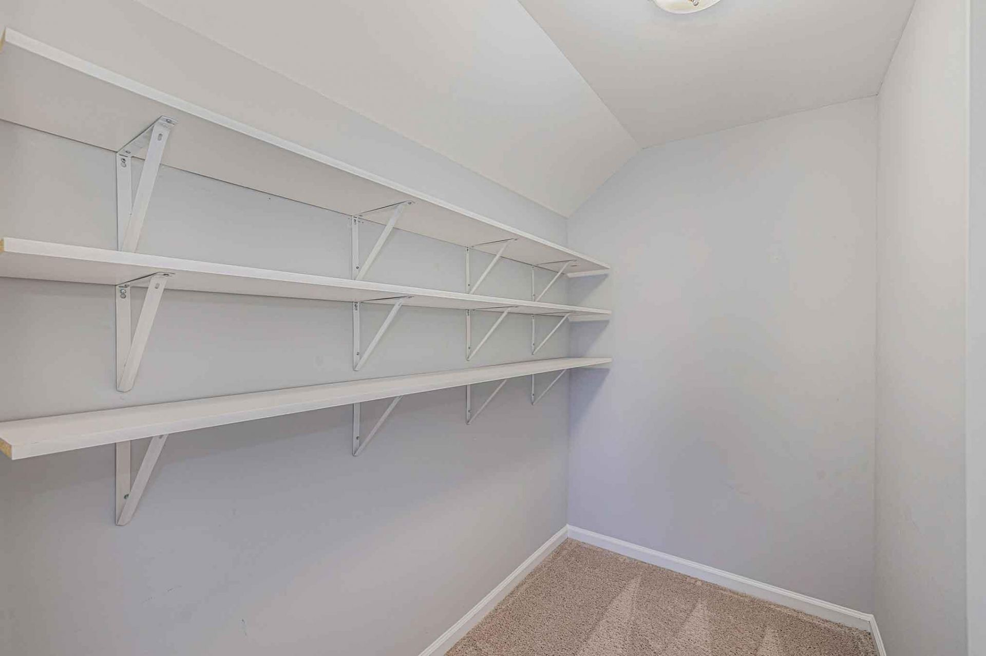 1602 Fishbone Drive Photo 18