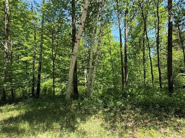 WILDERNESS TRAIL, Green Bay, WI 54313