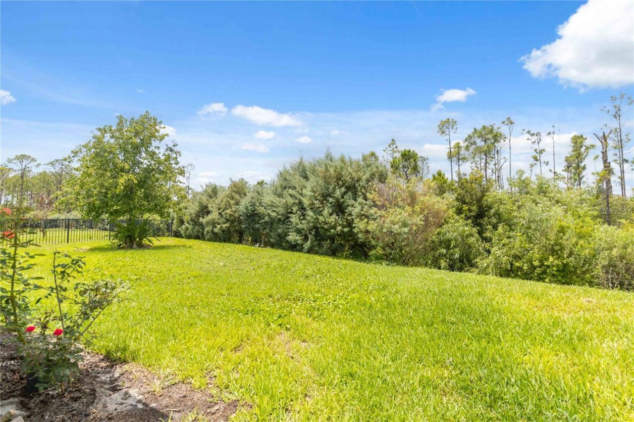 2740 Southland Street, Saint Cloud, FL 34772 Photo