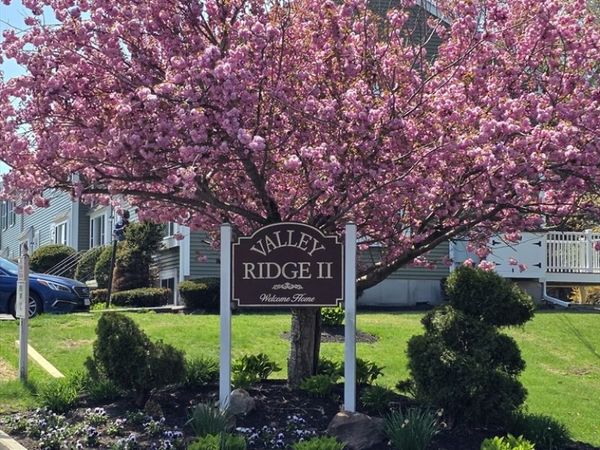 1603 Irving Rd, Unit 1603, Randolph, MA 02368