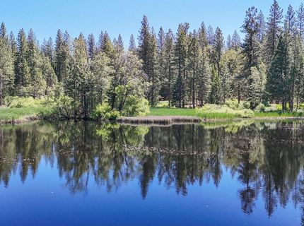 192 Vireo Way, Avery, CA 95224 Photo
