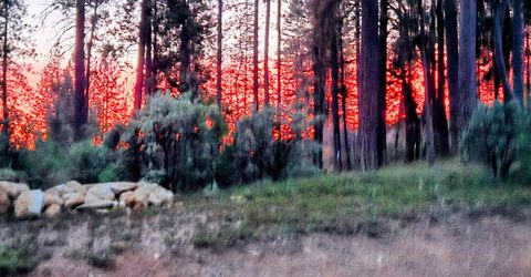 192 Vireo Way, Avery, CA 95224 Photo