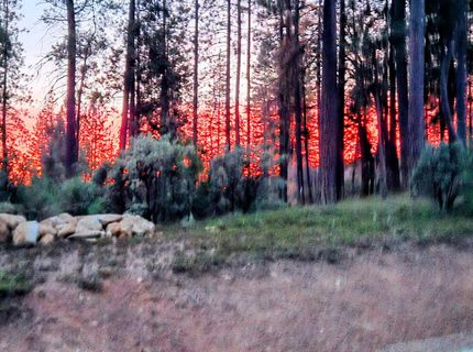 192 Vireo Way, Avery, CA 95224 Photo