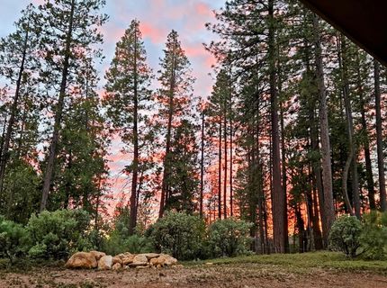 192 Vireo Way, Avery, CA 95224 Photo