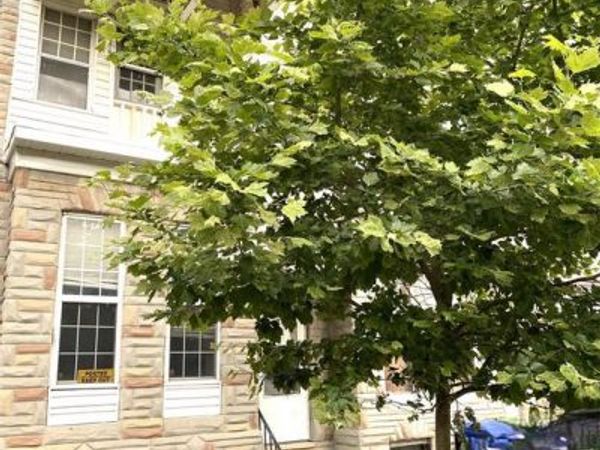 1321 JAMES STREET , BALTIMORE, MD 21223