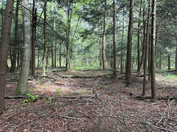 Kellogg Hill Road , South Dayton, NY 14138