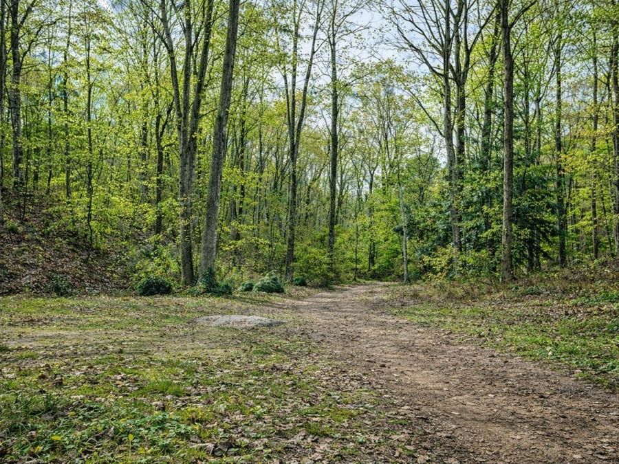 Property Image 60