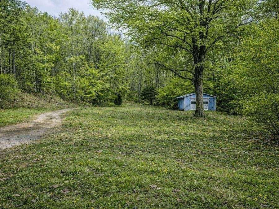 Property Image 61