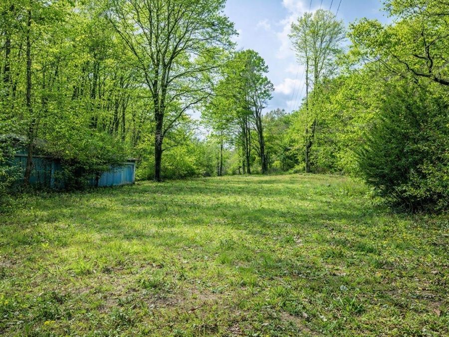 Property Image 65