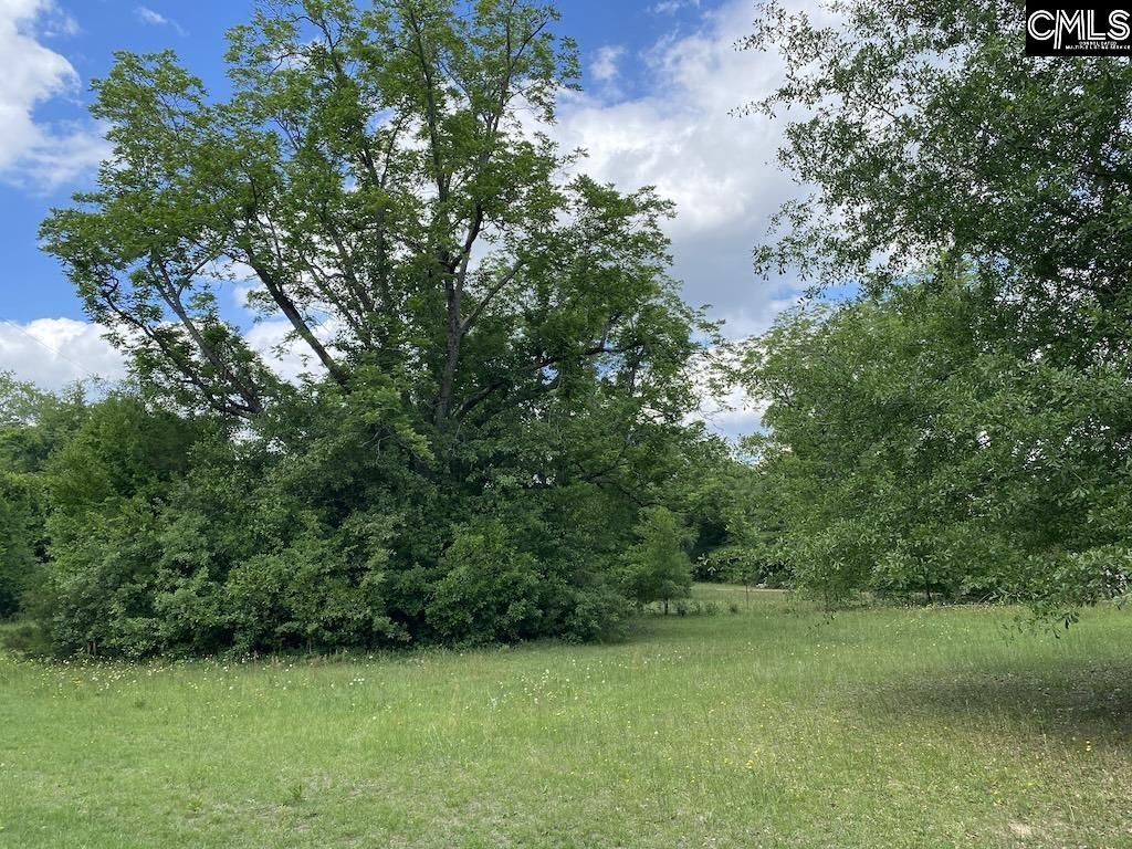 967 Clay Hill Road  Photo 13
