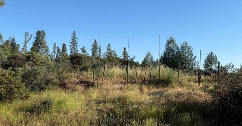485 Manzanita Trl, Georgetown, CA 95634 Photo