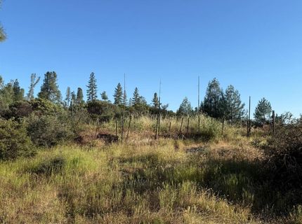 485 Manzanita Trl, Georgetown, CA 95634 Photo