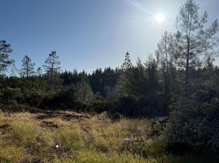 485 Manzanita Trl, Georgetown, CA 95634 Photo