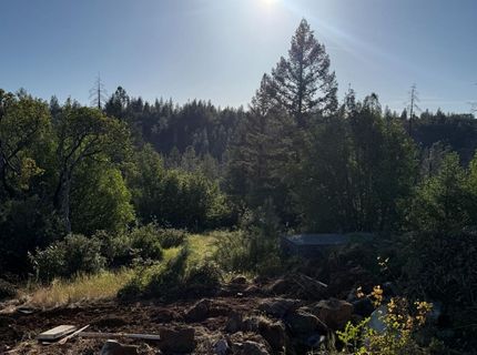 485 Manzanita Trl, Georgetown, CA 95634 Photo