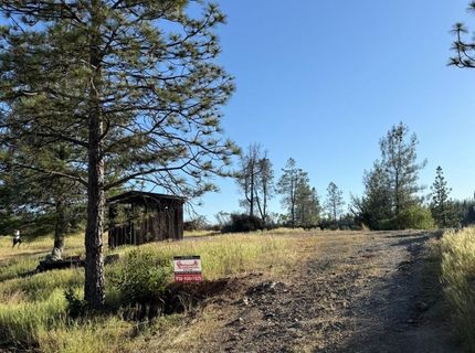 485 Manzanita Trl, Georgetown, CA 95634 Photo