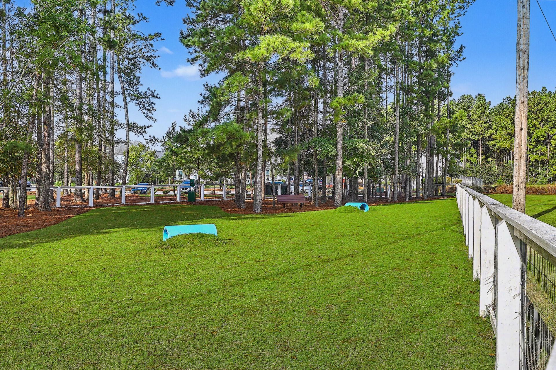 177 Great Lawn Drive Photo 41