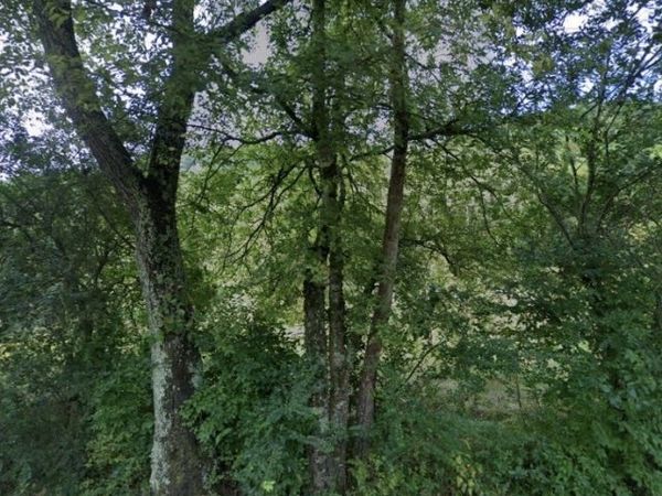 5034 Seymour Hollow Rd , Whites Creek, TN 37189