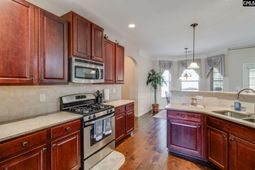 631 Twisted Oak Court  photo 4