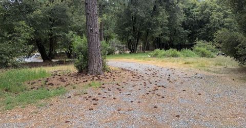 18834 Potternoff Rd, Mokelumne Hill, CA 95245 Photo