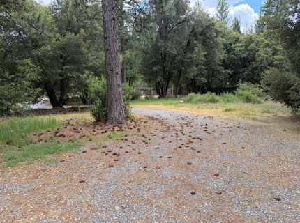 18834 Potternoff Rd, Mokelumne Hill, CA 95245 Photo