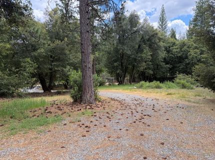 18834 Potternoff Rd, Mokelumne Hill, CA 95245 Photo