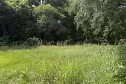 2120 Fillmore Street photo 4