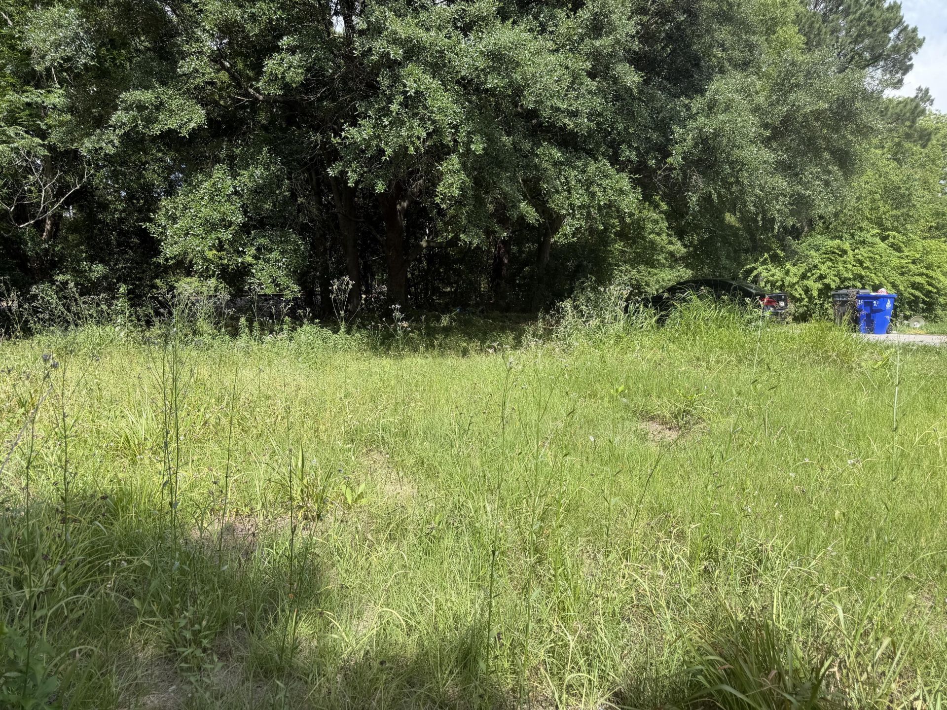 2120 Fillmore Street Photo 4