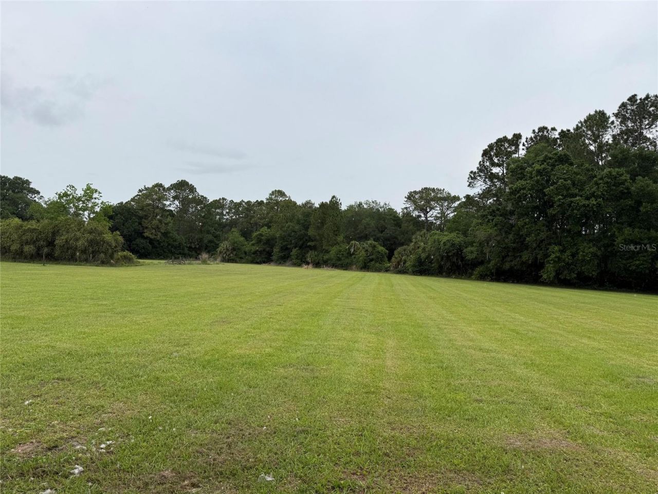 31405 Bear Pond Drive, Sorrento, FL 32776 Photo
