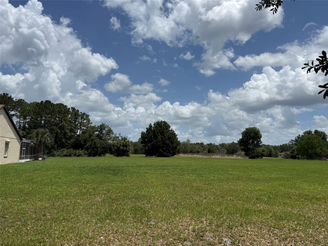 31405 Bear Pond Drive, Sorrento, FL 32776 Photo