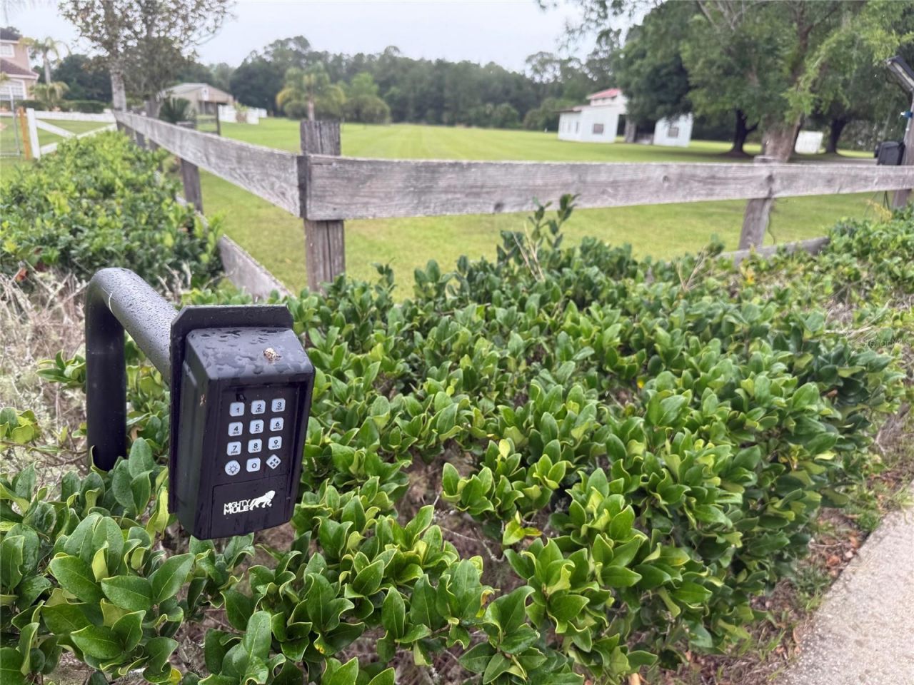 31405 Bear Pond Drive, Sorrento, FL 32776 Photo