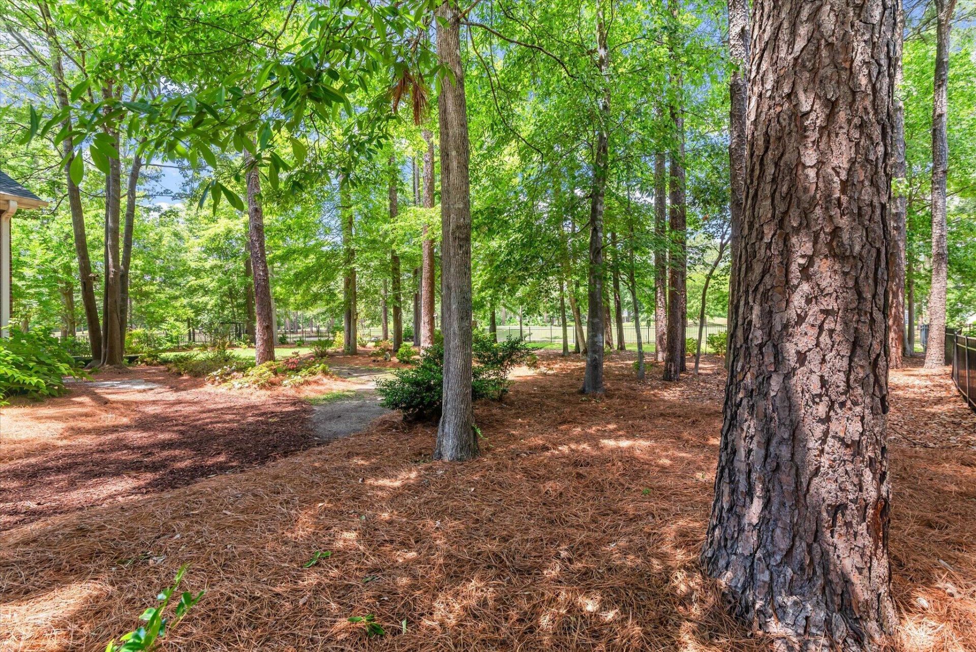 125 Pine Valley Drive Photo 63