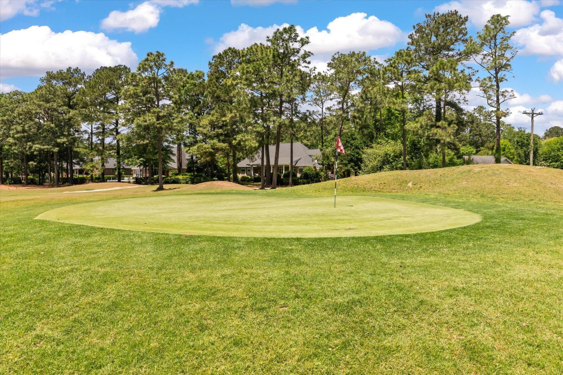 125 Pine Valley Drive Photo 66