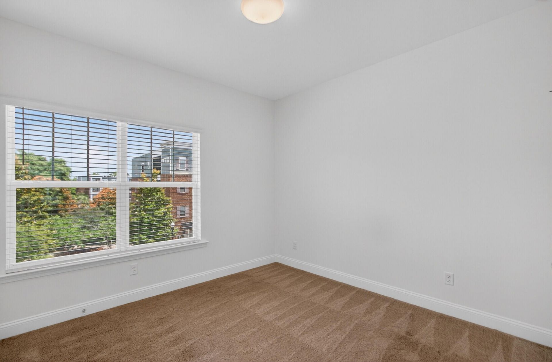 1252 Allusion Lane Photo 21